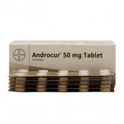 Андрокур (Ципротерон) таблетки 50мг №50 в Пскове и области фото
